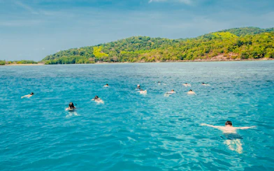 Tourists snorkeling in clear waters near Koh Samui's Pig Island.