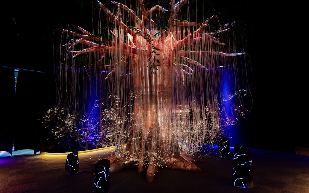 Cosmic tree installation with glowing lights at Enchanted Forest.