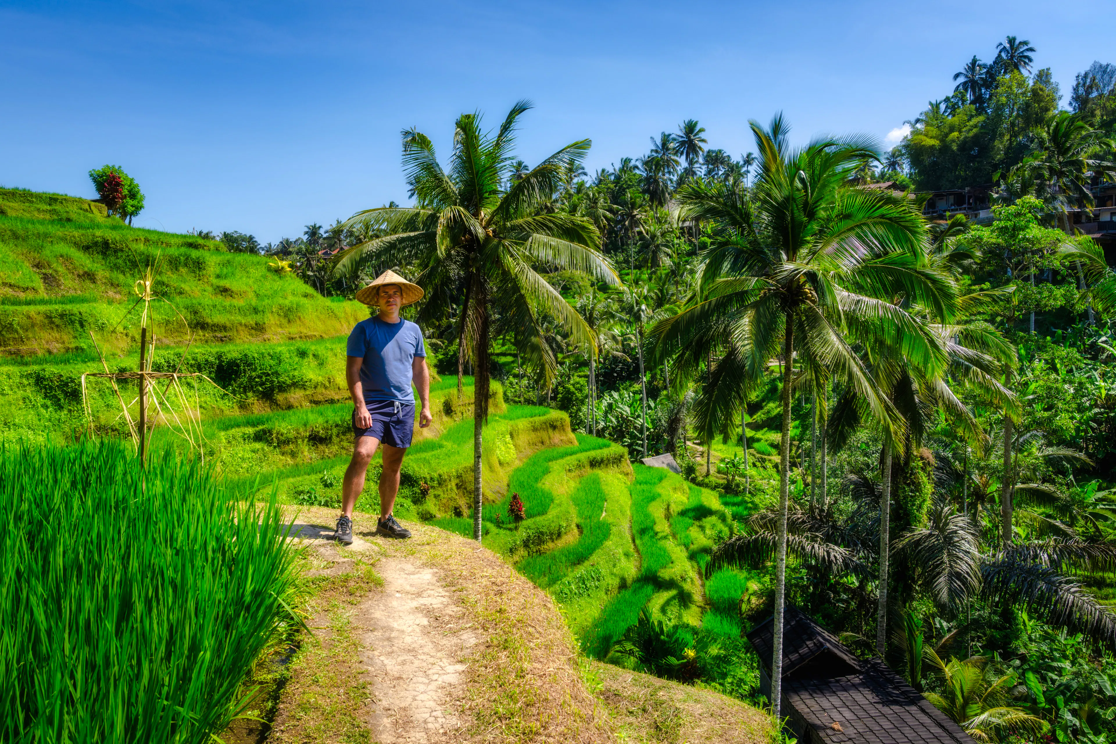 Ubud Highlights Private Tour with Entry Fees Included: Monkey Forest, Tirta Empul, Waterfall & Rice Terrace