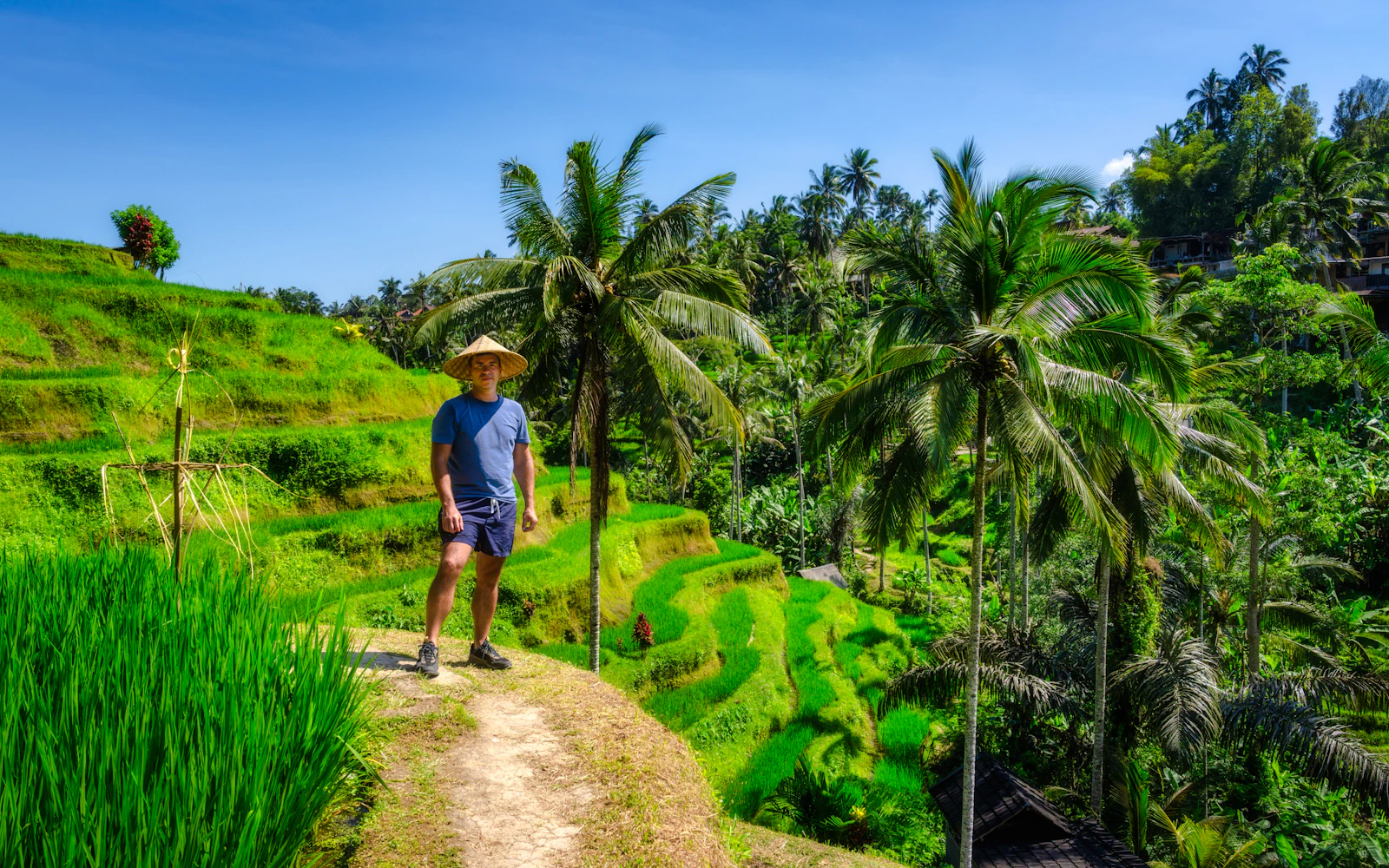 Ubud Highlights Private Tour with Entry Fees Included: Monkey Forest, Tirta Empul, Waterfall & Rice Terrace