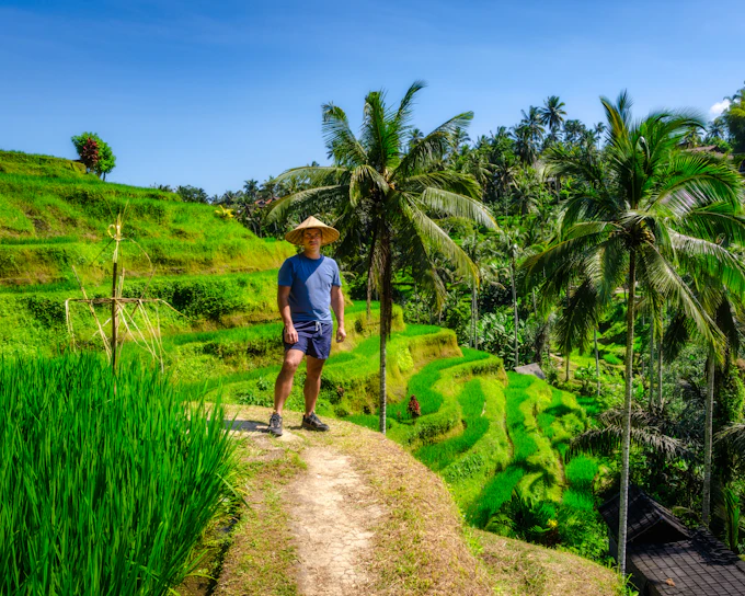 Ubud Highlights Private Tour with Entry Fees Included: Monkey Forest, Tirta Empul, Waterfall & Rice Terrace