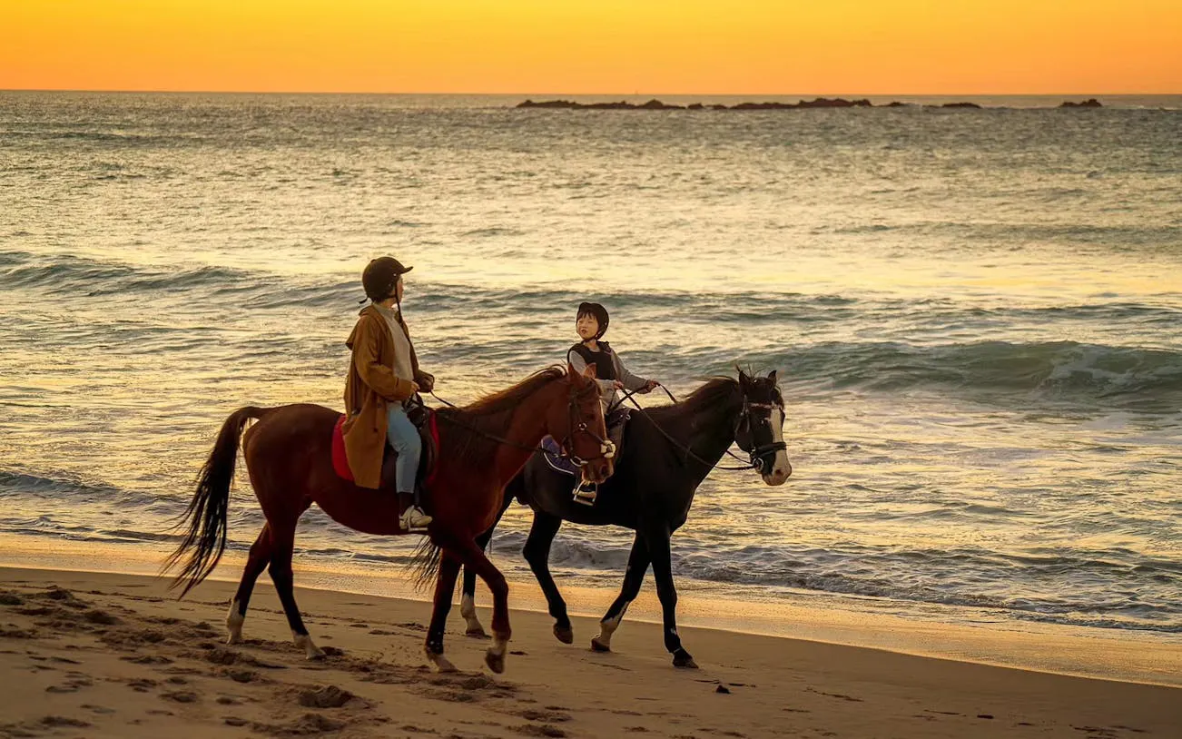 Horseback riders on a beach at sunset in Mnar, Tangier.