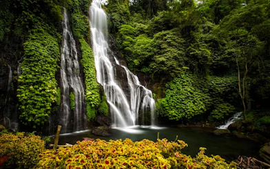 Waterfall surrounded by lush greenery in Bali's jungle.