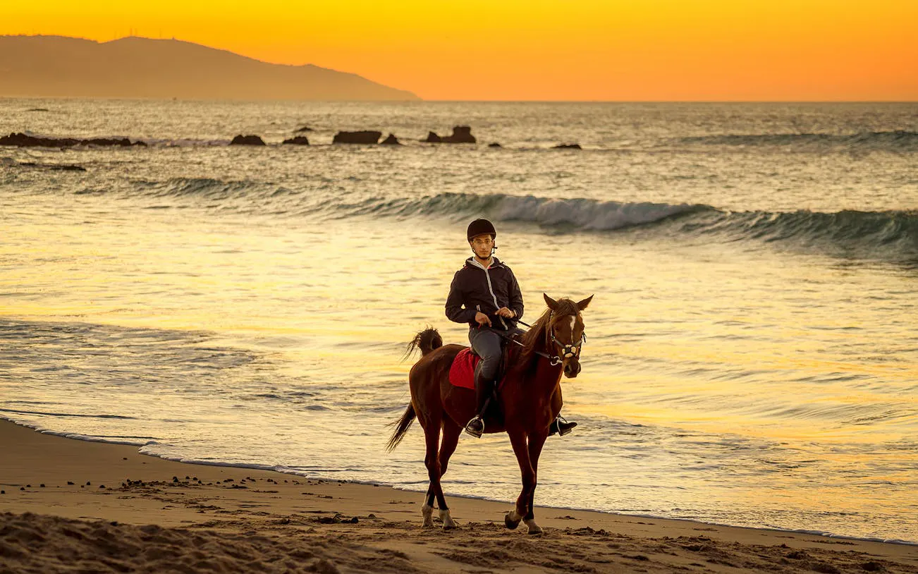Horseback rider on Tangier beach at sunset, Mnar region coastal trail.