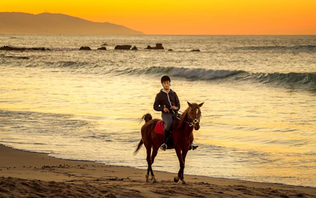 Tangier Guided Horseback Ride on Mountain and Coastal Trails in Mnar Region