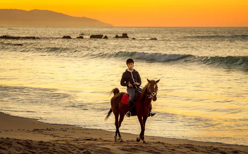 Horseback rider on Tangier beach at sunset, Mnar region coastal trail.