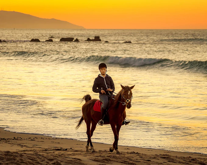 Tangier Guided Horseback Ride on Mountain and Coastal Trails in Mnar Region (Product 52337)