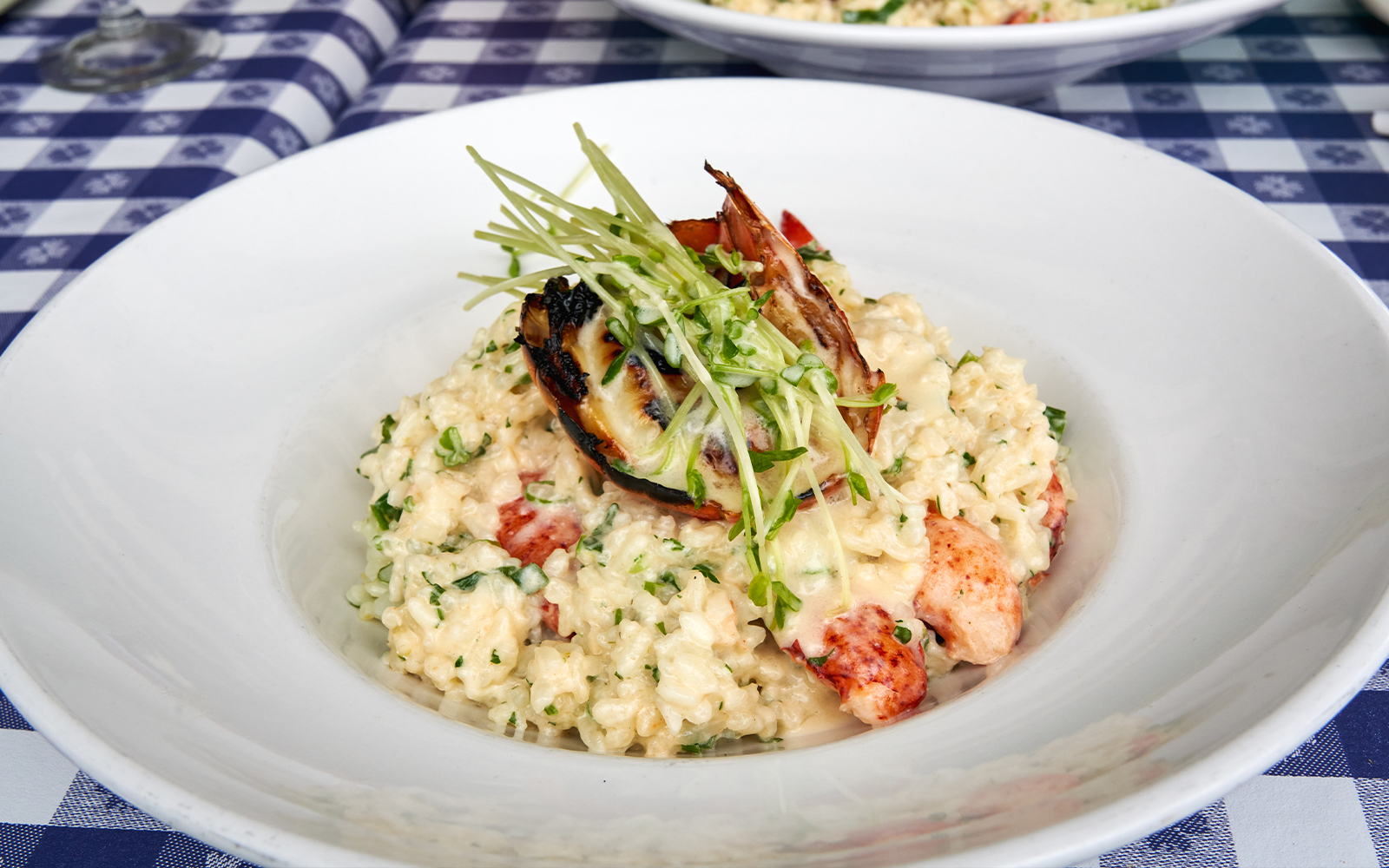 Lobster risotto garnished with greens on a white plate.