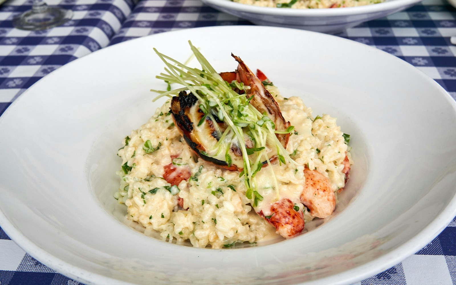 Lobster risotto garnished with greens on a white plate.