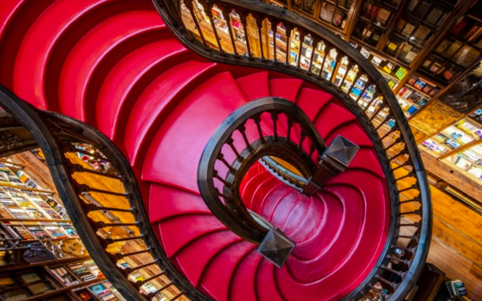 Livraria Lello Combo Tickets: Port Wine Cellars or Porto Cathedral (Product 56425)