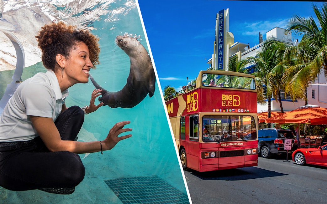 Zoo Miami visitor interacts with an otter; Big Bus Miami tour on Ocean Drive.