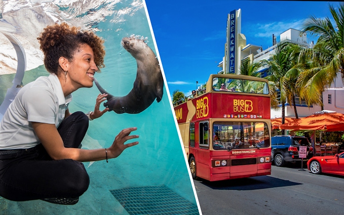 Zoo Miami visitor interacts with an otter; Big Bus Miami tour on Ocean Drive.