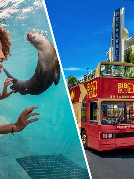 Zoo Miami visitor interacts with an otter; Big Bus Miami tour on Ocean Drive.