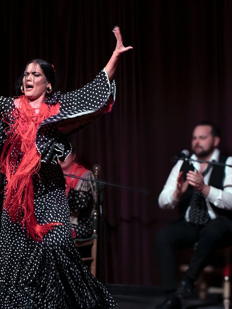Flamenco dancer performing at Palau Dalmases in Barcelona.