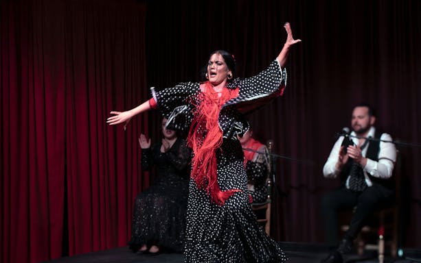 Flamenco dancer performing at Palau Dalmases in Barcelona.