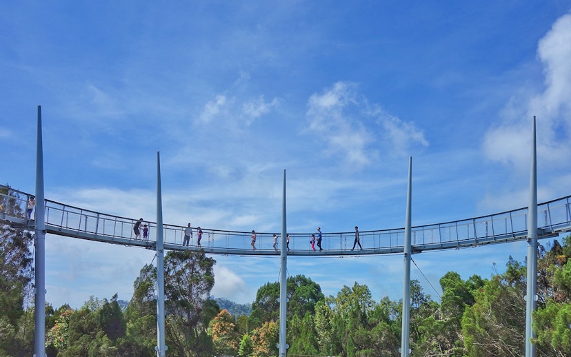Guests walking on canopy bridge at Habitat Penang Hill, surrounded by lush forest.