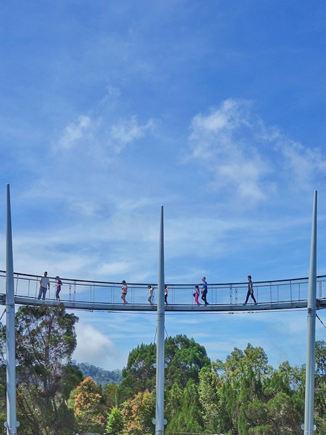Guests walking on canopy bridge at Habitat Penang Hill, surrounded by lush forest.