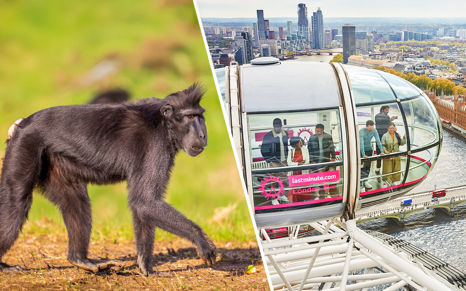 zsl london zoo tickets