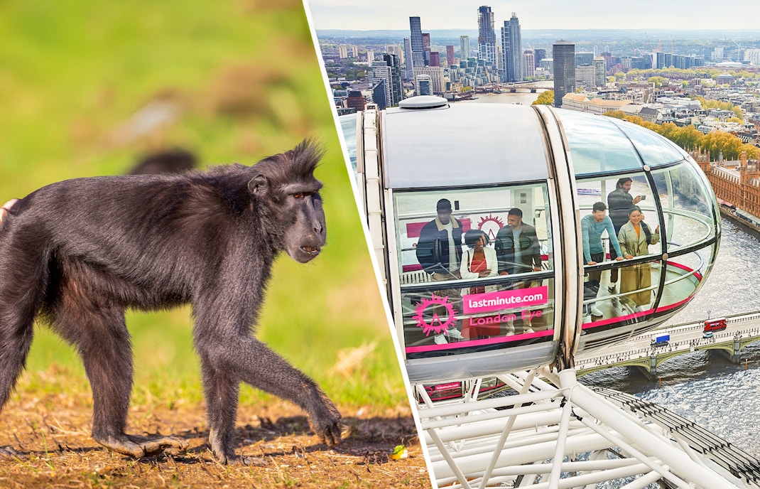 zsl london zoo tickets