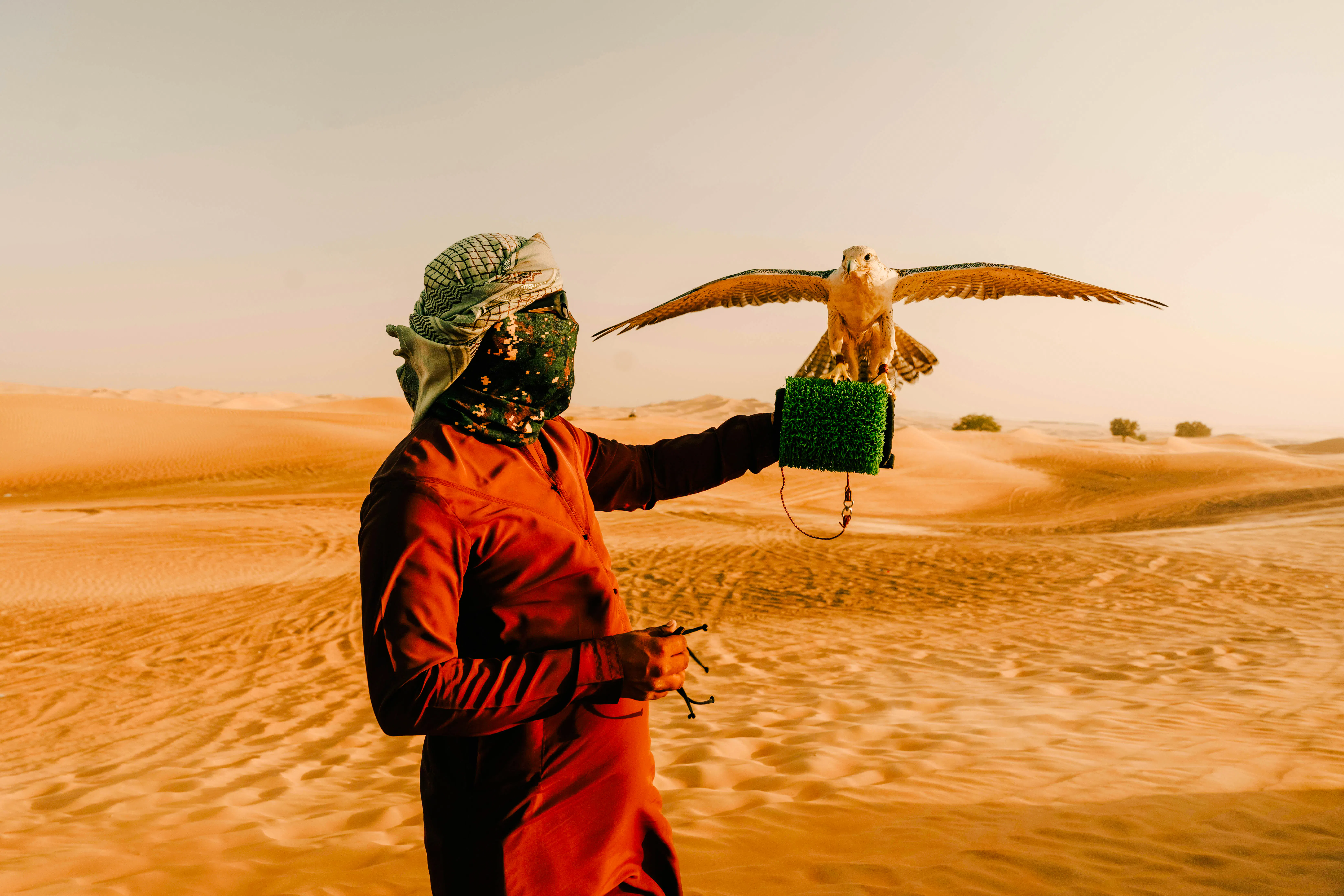 Falconer holding a falcon in the Dubai desert during a safari experience.