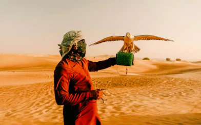 Falconer holding a falcon in the Dubai desert during a safari experience.