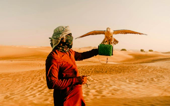 Falconer holding a falcon in the Dubai desert during a safari experience.