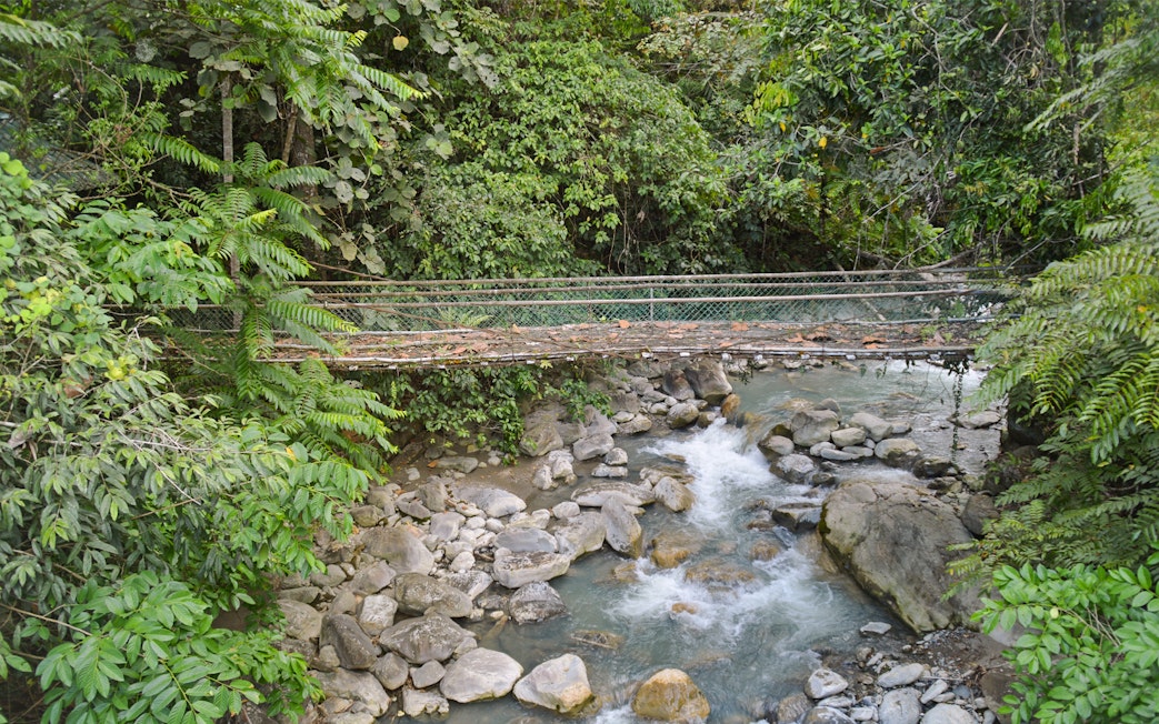 Suspension bridge over a rocky stream in the lush forest of Mount Kinabalu, Malaysia.