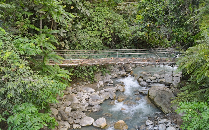 Suspension bridge over a rocky stream in the lush forest of Mount Kinabalu, Malaysia.