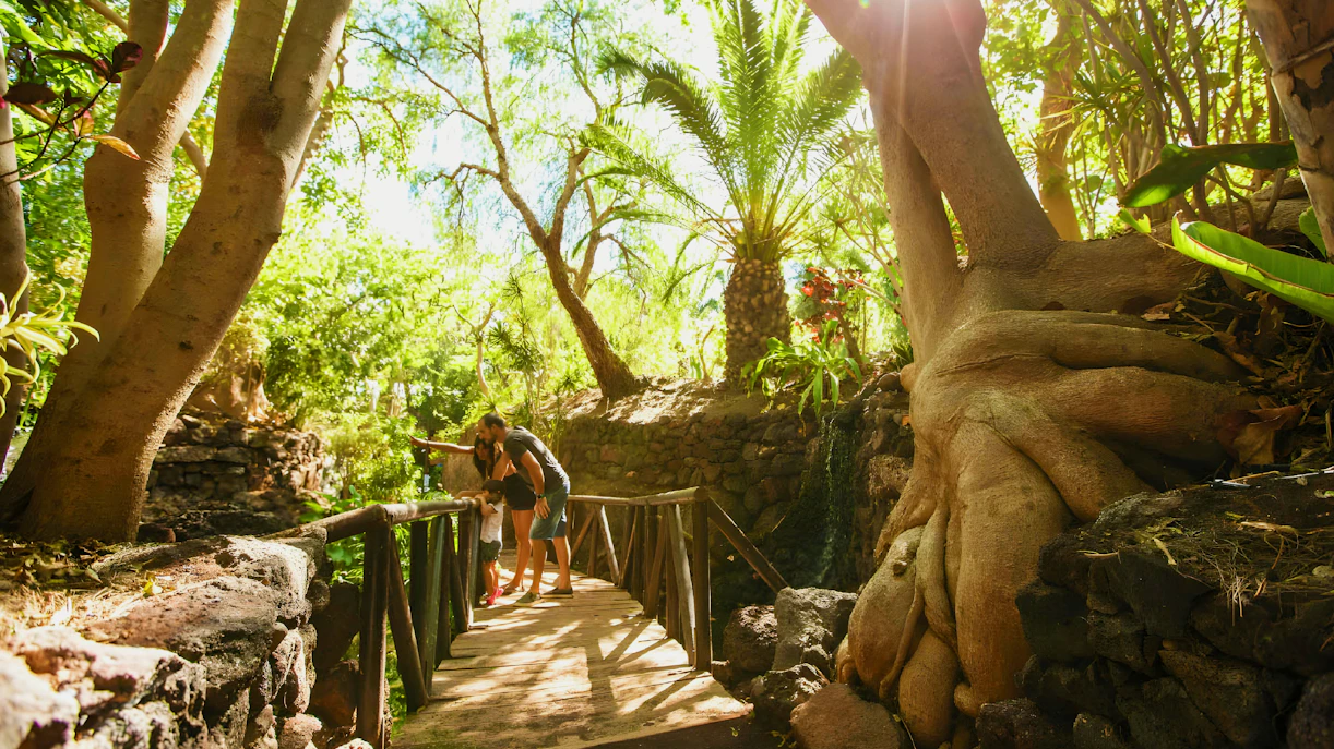 Visitors exploring lush greenery on a wooden bridge at Oasis Wildlife.