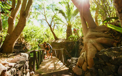 Visitors exploring lush greenery on a wooden bridge at Oasis Wildlife.