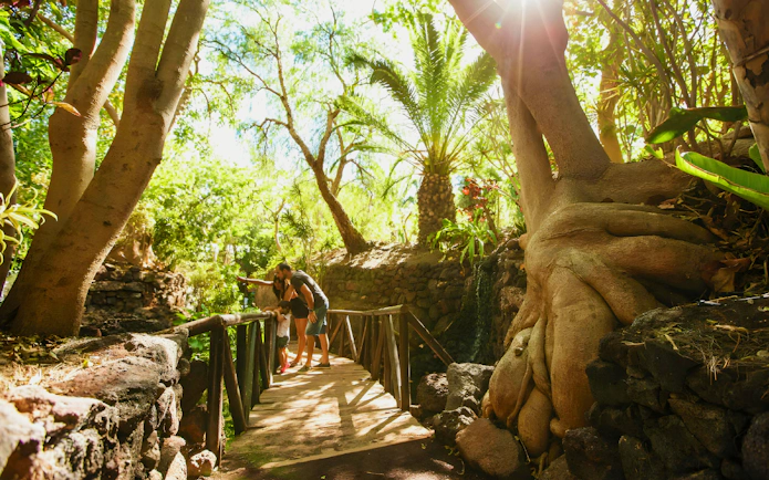 Visitors exploring lush greenery on a wooden bridge at Oasis Wildlife.