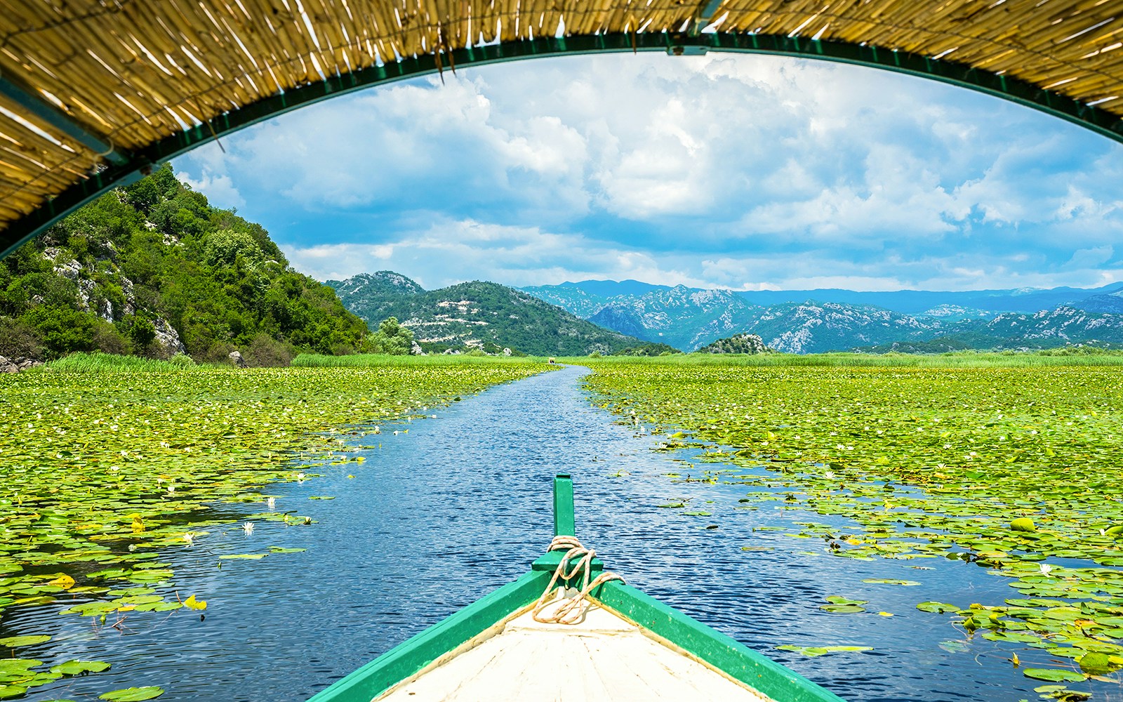 Boat navigating through lily-covered waterway on Skadar Lake.