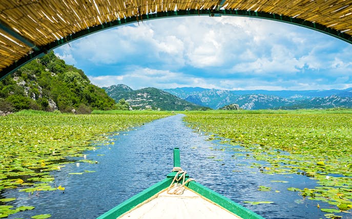 Boat navigating through lily-covered waterway on Skadar Lake.