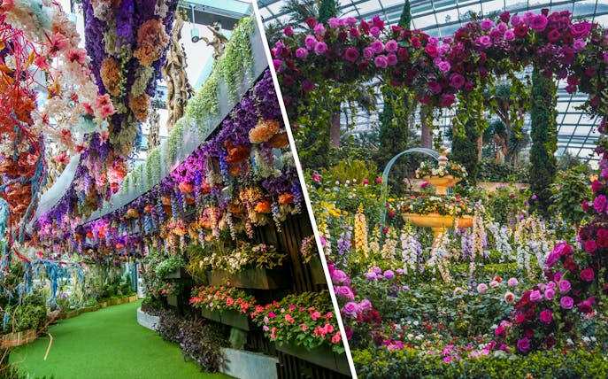 Gardens by the Bay's Cloud Forest and Flower Dome with vibrant floral displays.