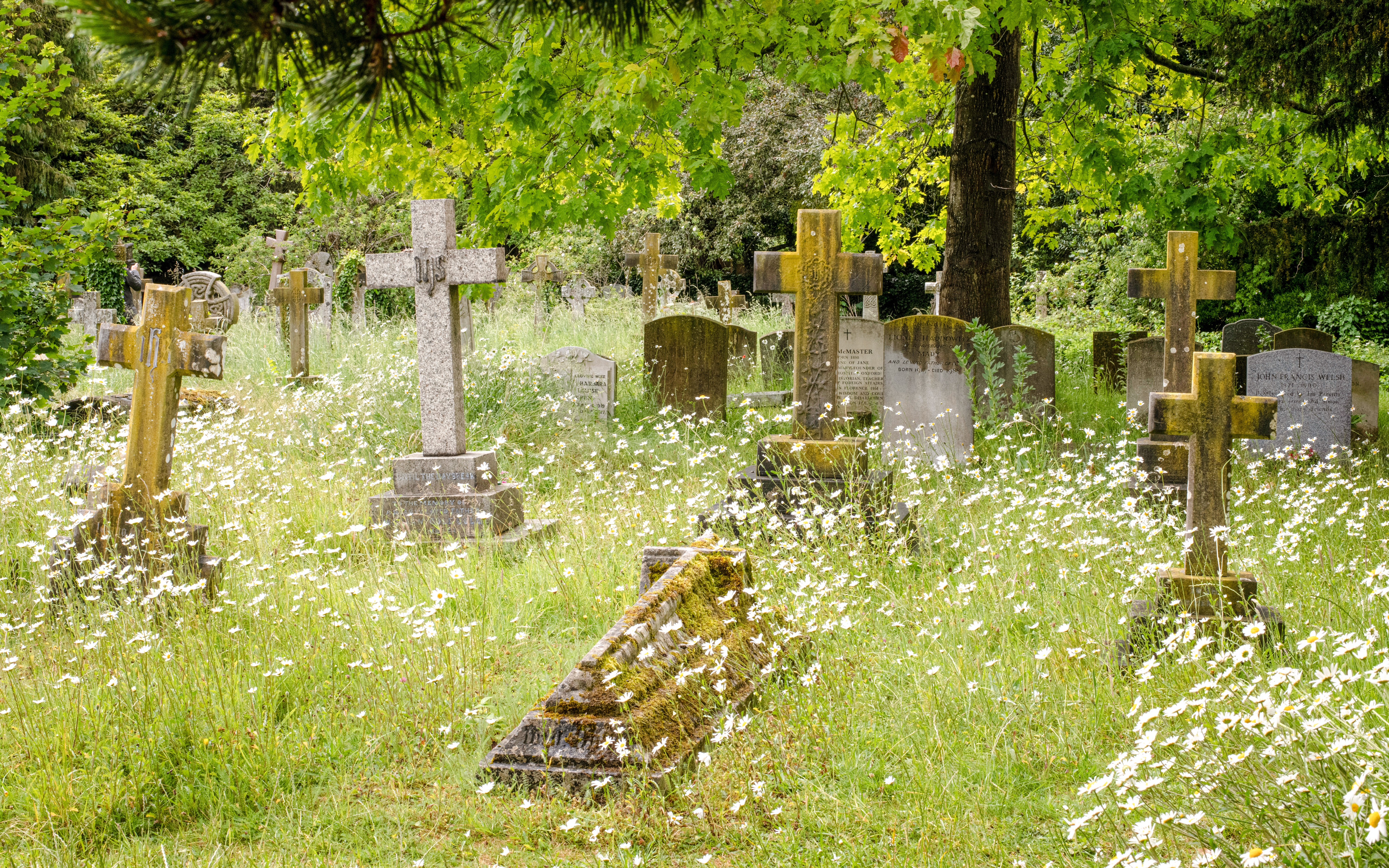 Cimitero di Holywell
