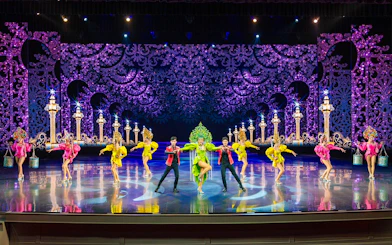 Performers in colorful costumes on stage at The Colosseum Show.