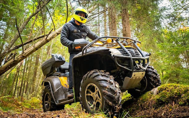 Quad bike navigating forest trail during coastal countryside tour.