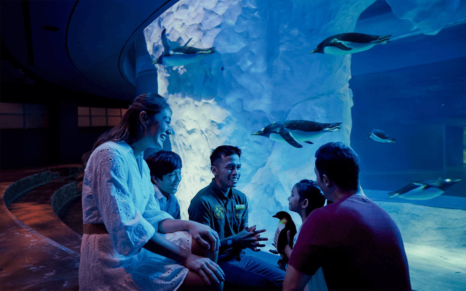 Penguin keeper talk at Ocean Network Express Penguin Cove with visitors.