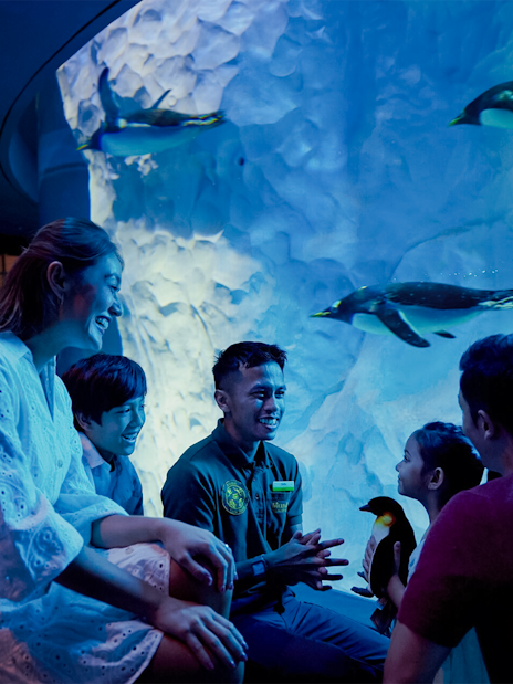 Penguin keeper talk at Ocean Network Express Penguin Cove with visitors.