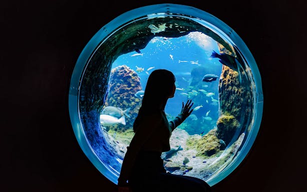 Tourist viewing marine life through a circular window at Enoshima Aquarium.