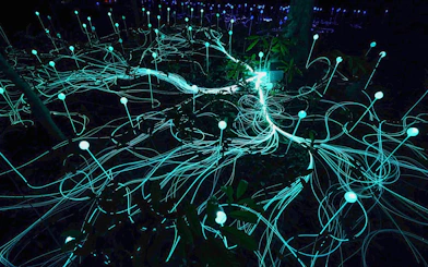 Glowing lights and fiber optics in Dream Forest installation.