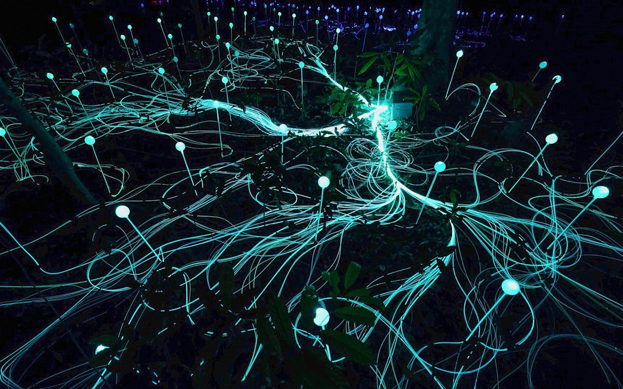 Glowing lights and fiber optics in Dream Forest installation.