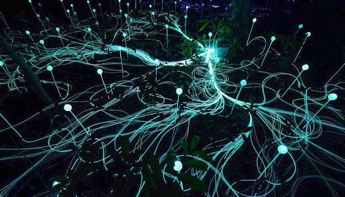 Langkawi Dream Forest illuminated with colorful lights at night