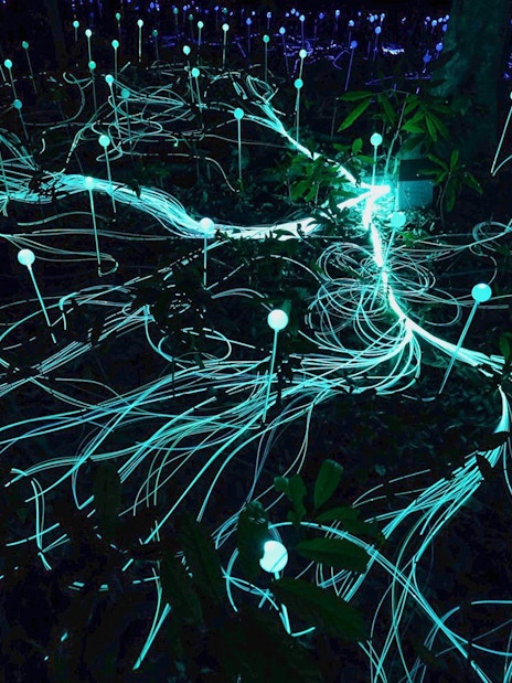 Glowing lights and fiber optics in Dream Forest installation.