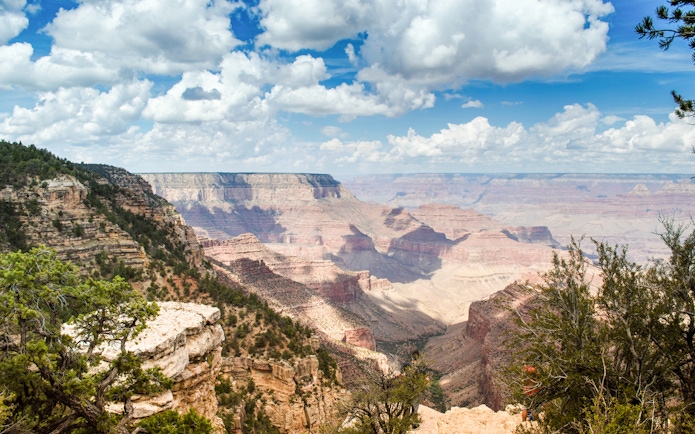 Grand Canyon view with layered rock formations and trees, seen on a Hummer tour.