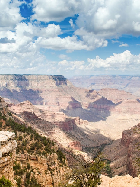 Grand Canyon view with layered rock formations and trees, seen on a Hummer tour.
