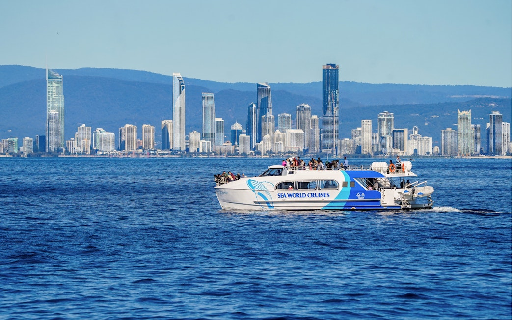 Whale watching cruise near Gold Coast skyline with professional photographer onboard.