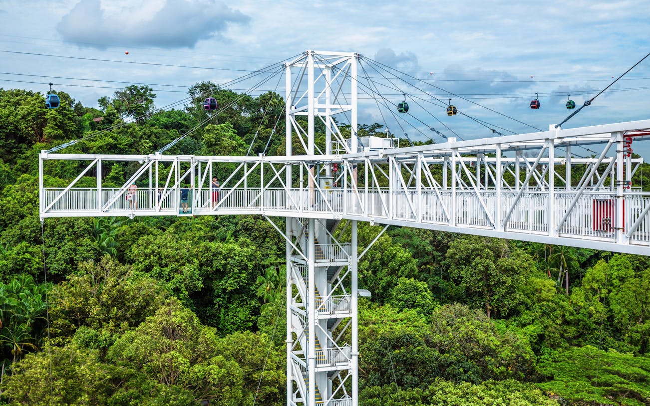 Skybridge at AJ Hackett Sentosa in Singapore with cable cars in the background.