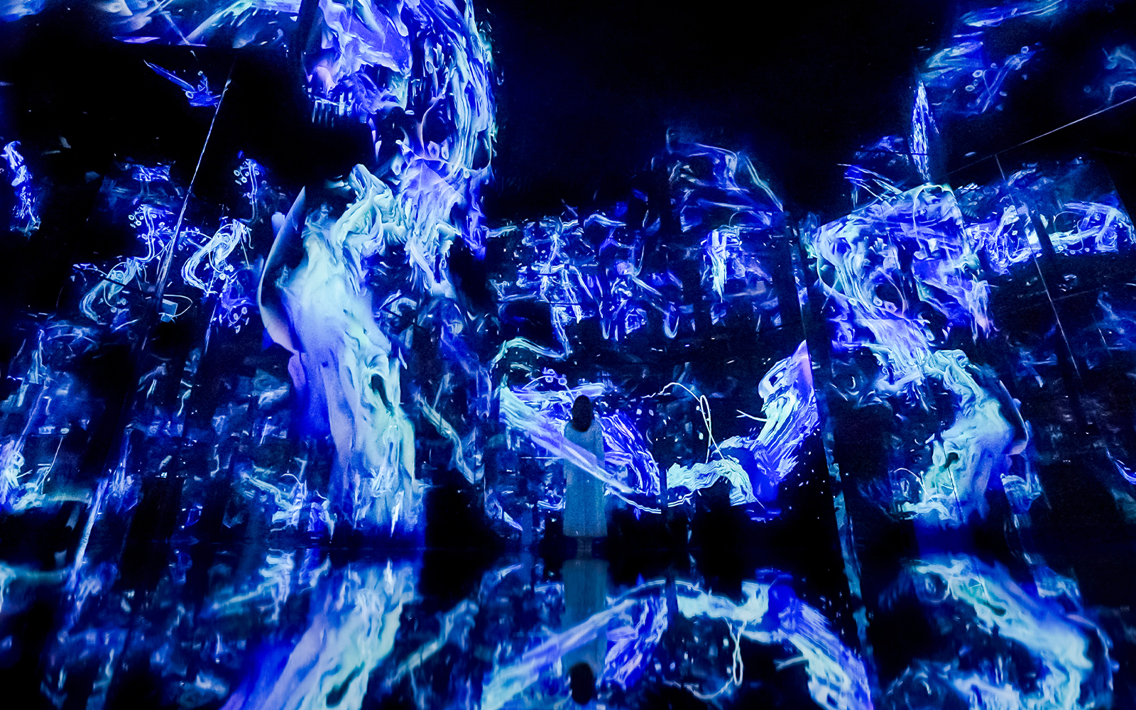 TeamLab Phenomena Abu Dhabi