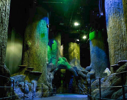 Fobidden forest Harry Potter tour london